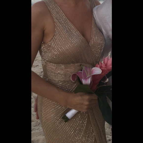 Parker Black Monarch Beaded Blush/Nude Gown - Size 6 - Picture 1 of 15